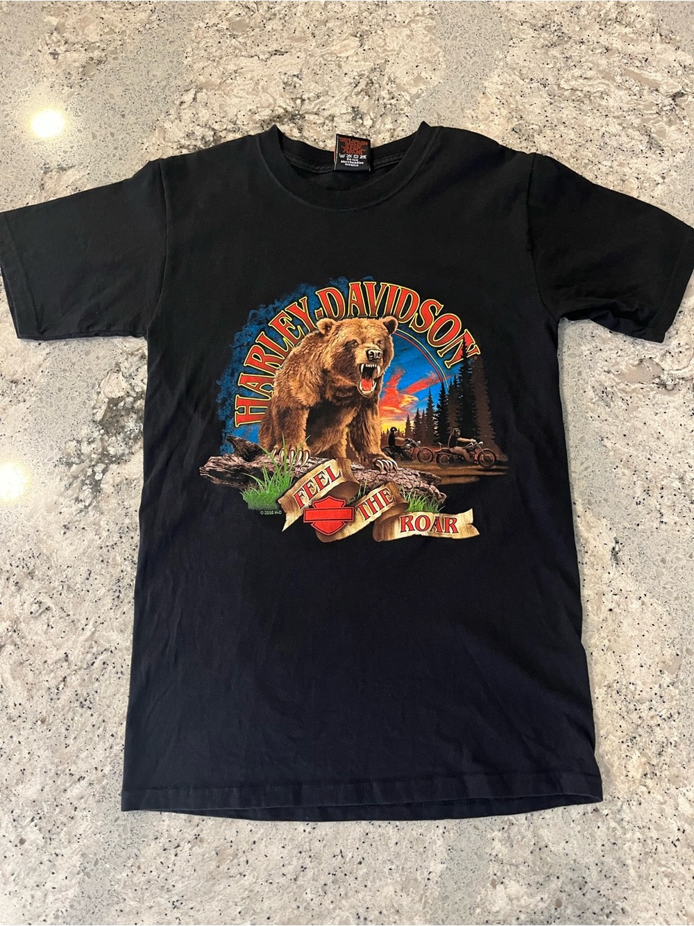 2006 Harley-Davidson Black Tee with Roaring Bear Sunset Graphic